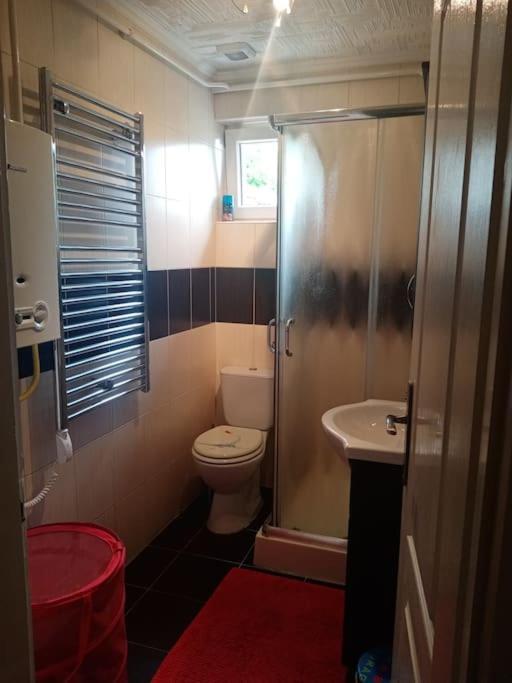 D38 Pestelizabeth Apartman Leilighet Budapest Eksteriør bilde